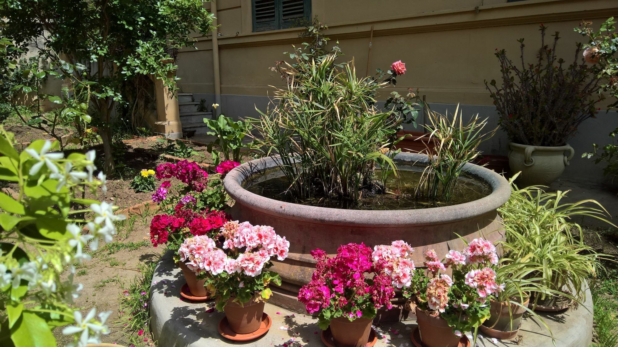Le Rose Del Viale Hotel Palermo Eksteriør billede
